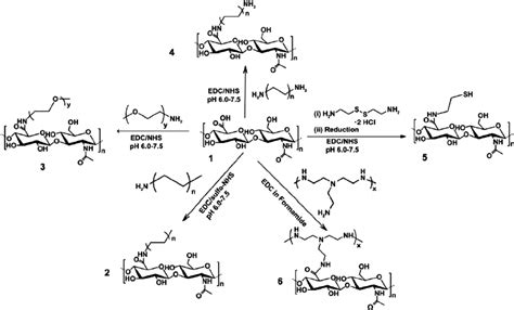 Scheme representing the methodology adopted for the synthesis of amine ...