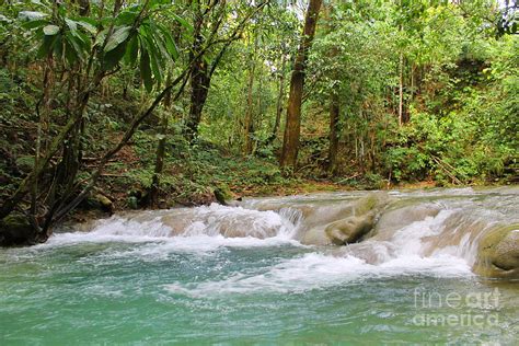 Mayfield Falls Jamaica 7 Photograph by Debbie Levene - Fine Art America