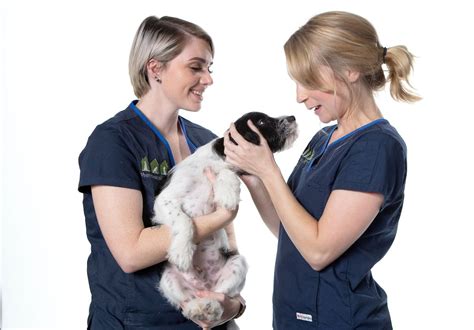 Avian Vet | Veterinarian Brisbane | The House Call Vet