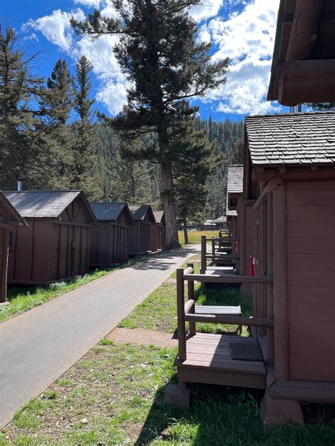 Roosevelt Cabins in Yellowstone National Park Review