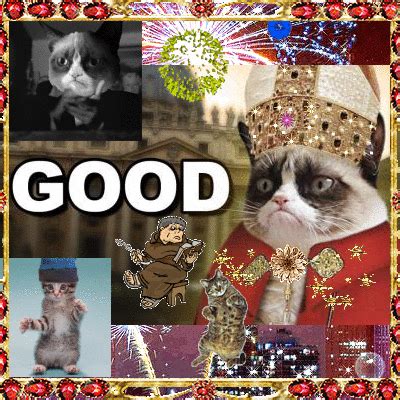 GRUMPY CAT IS SAD POPE IS RETIRING???? MONK SAYS "MEH" ALL THAT GLITTERS IS NOT GOLD Picture ...