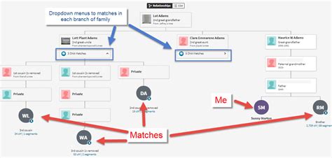 AncestryDNA ThruLines Overview and Features