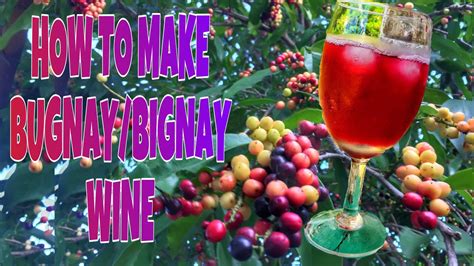 BUGNAY/BIGNAY WINE | HOMEMADE WINE | 3 INGREDIENTS ONLY | EASY RECIPE WINE - YouTube