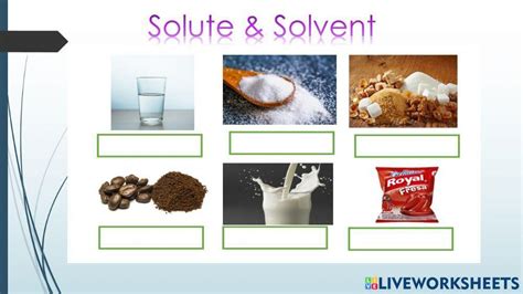 Solute, Solvent and Solution Match and Draw | Beyond - Worksheets Library