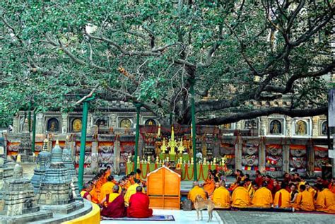 18 Buddhist Tourist Places In India, Buddhist Tourism In India - Treebo