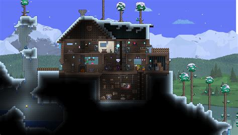 Cool Snow Biome House Terraria - Goimages Signs