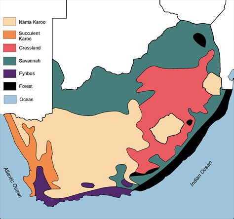 Vegetation Regions Of South Africa By Openstax Jobilize | My XXX Hot Girl