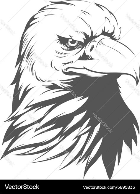 Bald eagle silhouette Royalty Free Vector Image