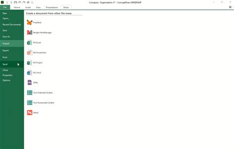 Organizational Structure Mapping Tool | ConceptDraw