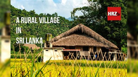 Beautiful Rural Village in Sri Lanka | Village life in Sri Lanka 2021 ...