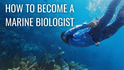 How to Become a Marine Biologist (step by step) // Marine Biology ...