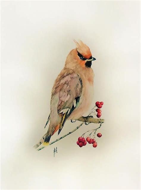 Waxwing bird portrait original watercolor painting wall | Etsy ...