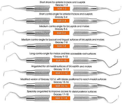 Basic guide to dental instruments 2nd edition pdf – Artofit