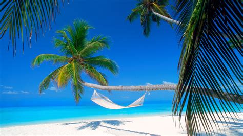 Free download | HD wallpaper: Hammock, Maldives, Islands | Wallpaper Flare