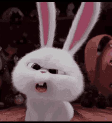 Huh Rabbit GIF - Huh Rabbit Cute - Discover & Share GIFs