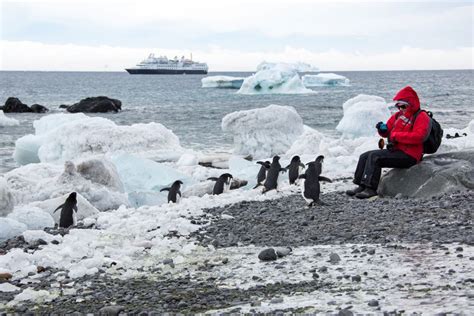 Enjoy Luxury Antarctica Cruises | Silversea