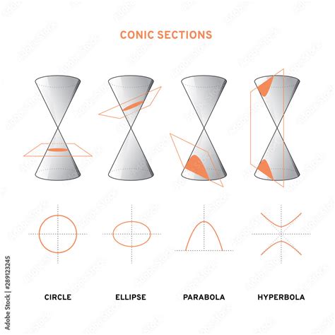 Conic section drawing. Circle, ellipse, parabola, hyperbola. Vector ...