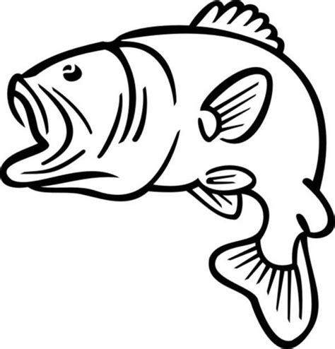 Bass Fish Outline Coloring Pages | Best Place to Color