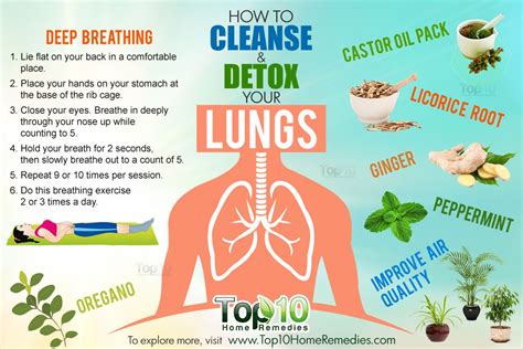 Lung Cleanse Juice Recipe | Deporecipe.co