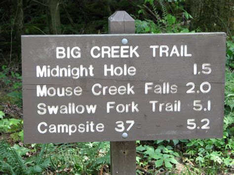 Big Creek Trail – Smokies Guide