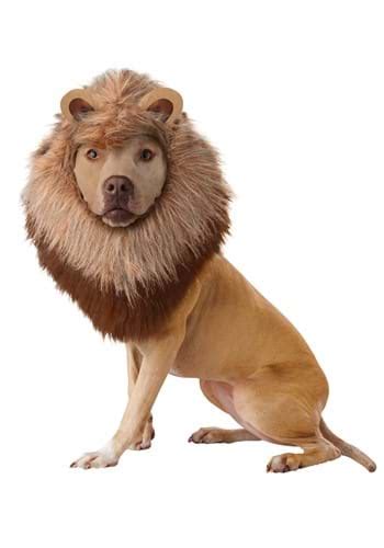 Pet Lion Dog Costume