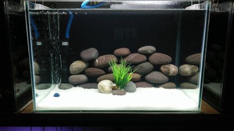 Fish Tank Setup (Beginners Guide): How to Set Up an Aquarium