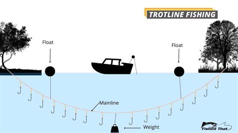 Trotlining Basics: What Is Trotline Fishing? - Fished That