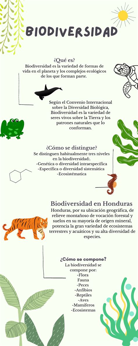 Infografia de biodiversidad - BIODIVERSIDAD ¿Cómo se distingue? Se ...