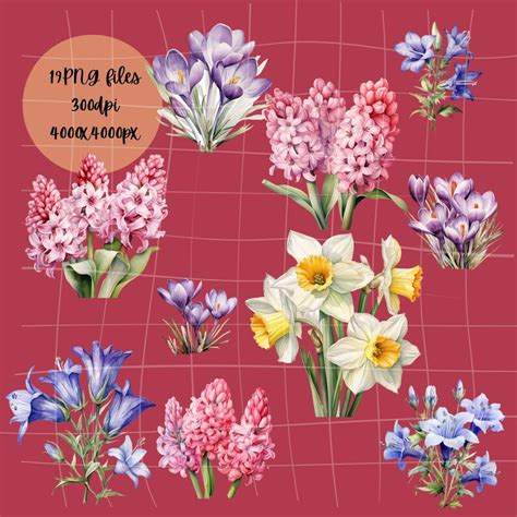 19 Watercolor Spring Flowers Clipart Scrapbooking, Daffodils, Spring Clipart, Watercolor Bundle ...