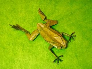 tree frog | Designed by Robert Lang Folded from 30*30cm doub… | Flickr