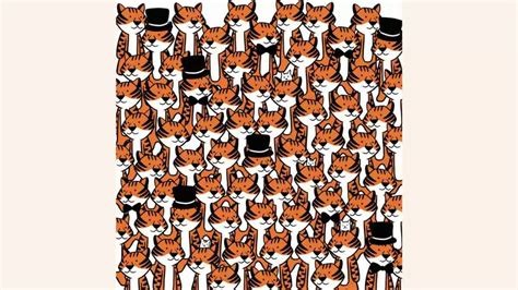 Optical Illusion: Can you Find Four Hidden Cats in 11 Seconds?