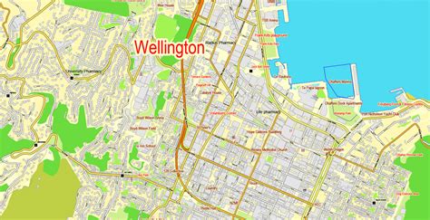 PDF Map Wellington, New Zealand, exact Printable vector street City Plan