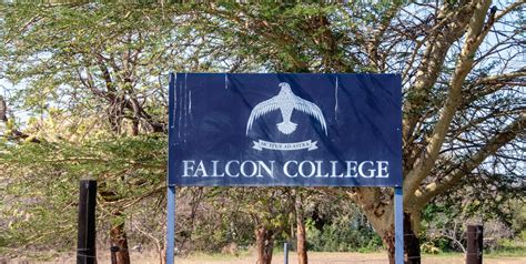 Falcon College pegs fees at $11 million - Mbare Times