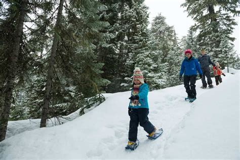 Things to do in Whistler in Winter for Families - Mum on the Move