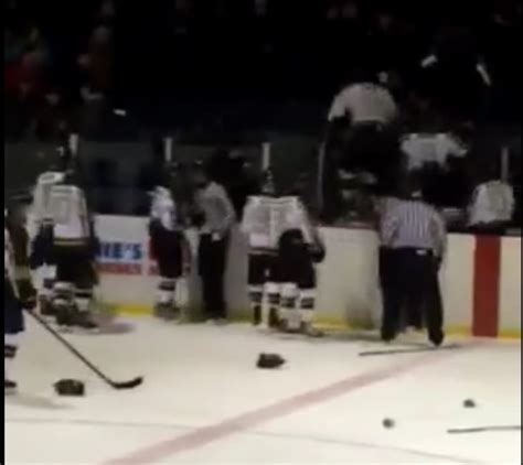 Hockey players and fans fight during junior hockey game | CBC News