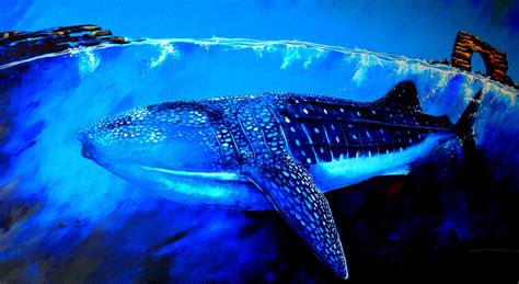 Whale Shark Wallpapers - Top Free Whale Shark Backgrounds - WallpaperAccess