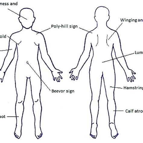 (PDF) What's in a name? The clinical features of facioscapulohumeral muscular dystrophy