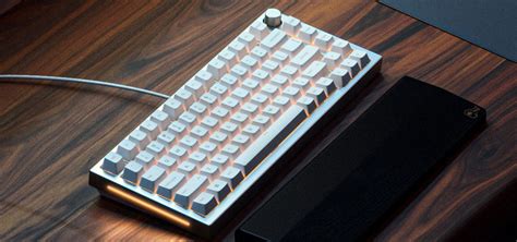 Buy Glorious GMMK Pro 75 Barebone Keyboard White Ice [GLO-GMMK-P75-RGB ...