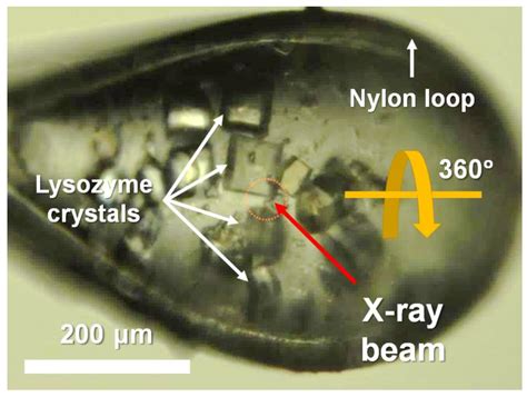 X Ray Crystallography Crystals