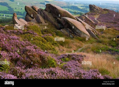 Ramshaw Rocks, near Leek, Staffordshire Moorlands, Peak District National Park Stock Photo - Alamy