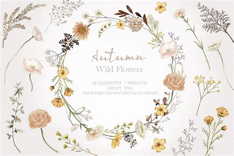 Watercolor Wildflower Autumn Clipart Graphic by Fineartlab · Creative ...