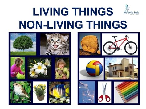 List Of Living And Non Living Things