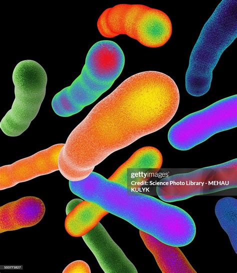 Tuberculosis Bacteria Artwork High-Res Vector Graphic - Getty Images