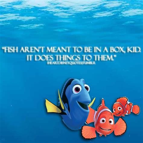 Fish aren't meant to be in a box. Finding Nemo quote. | Disney quotes, Nemo quotes, Finding nemo ...