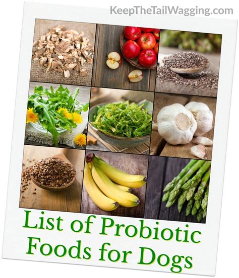 List of Probiotic Foods for Dogs like asparagus, bananas, seaweed, garlic, dandelion greens ...