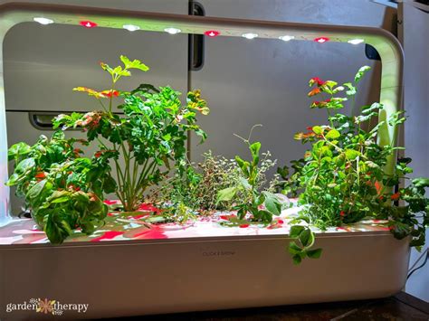 Is an AeroGarden Worth It? A Realistic Look - Garden Therapy