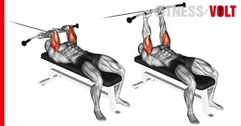 Cable Lying Triceps Extension Exercise: How-To, Variations and Video Guide