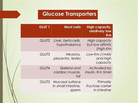 Presentation glucose transporters