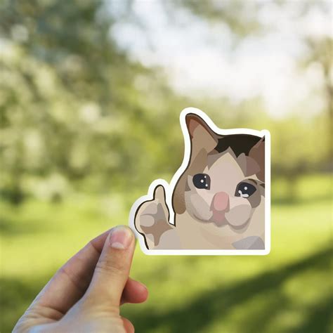 Sad cat thumbs up sticker! : sticker