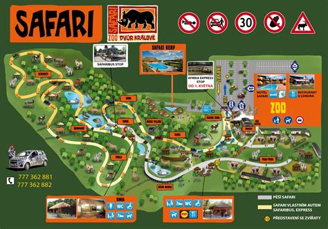 ZOO Dvůr Králové - Zoo Plan | Safari park, Zoo, How to plan